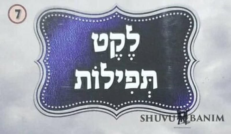 קונטרסי תפילה של הגה"צ הרב אליעזר ברלנד שליט"א מענייני החיים
