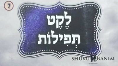 קונטרסי תפילה של הגה"צ הרב אליעזר ברלנד שליט"א מענייני החיים