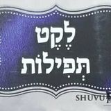 קונטרסי תפילה של הגה"צ הרב אליעזר ברלנד שליט"א מענייני החיים