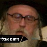ניחום האדמורי"ם מתולדות אהרן ותולדות אברהם יצחק שליט"א - הגה"צ הרב אליעזר ברלנד שליט"א