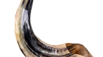 תפילה לחודש אלול תשע"ה מאת הגה"צ הרב אליעזר ברלנד שליט"א