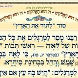 סוד לתור את הארץ • המאמר היומי מהגה"צ רבי אליעזר ברלנד שליט"א