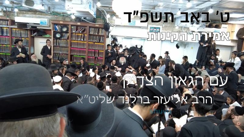 צפו: תפילת שחרית ואמירת קינות ט' באב תשפ"ד המלא עם הגה"צ הרב אליעזר ברלנד שליט"א