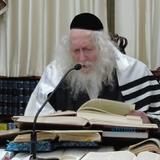 שיעור בבית הגה"צ רבי אליעזר ברלנד שליט"א לקבוצת מתקרבים מתל אביב