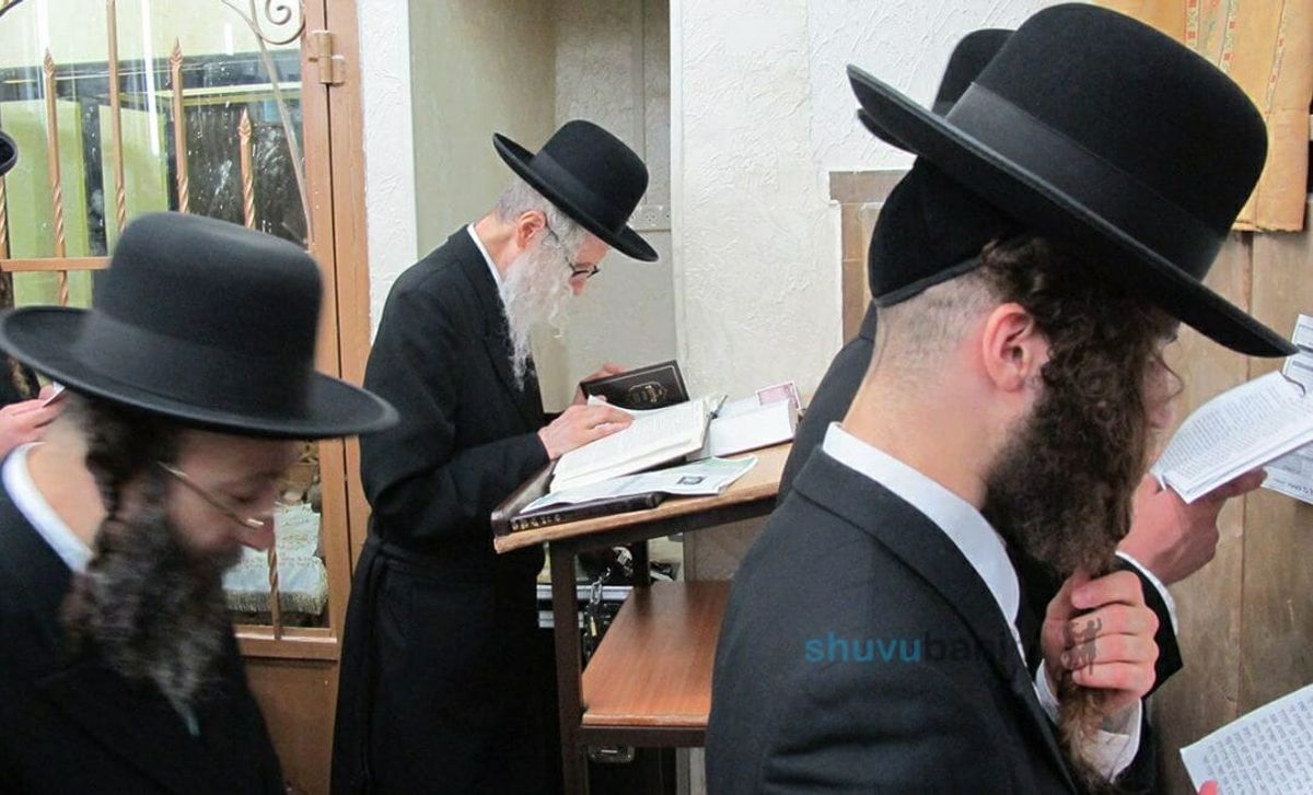 גלריית תמונות מהסליחות בשול עם הגה"צ הרב אליעזר ברלנד שליט"א