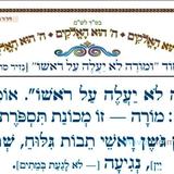 סוד "ומורה לא יעלה על ראשו" המאמר היומי מהגה"צ רבי אליעזר ברלנד שליט"א