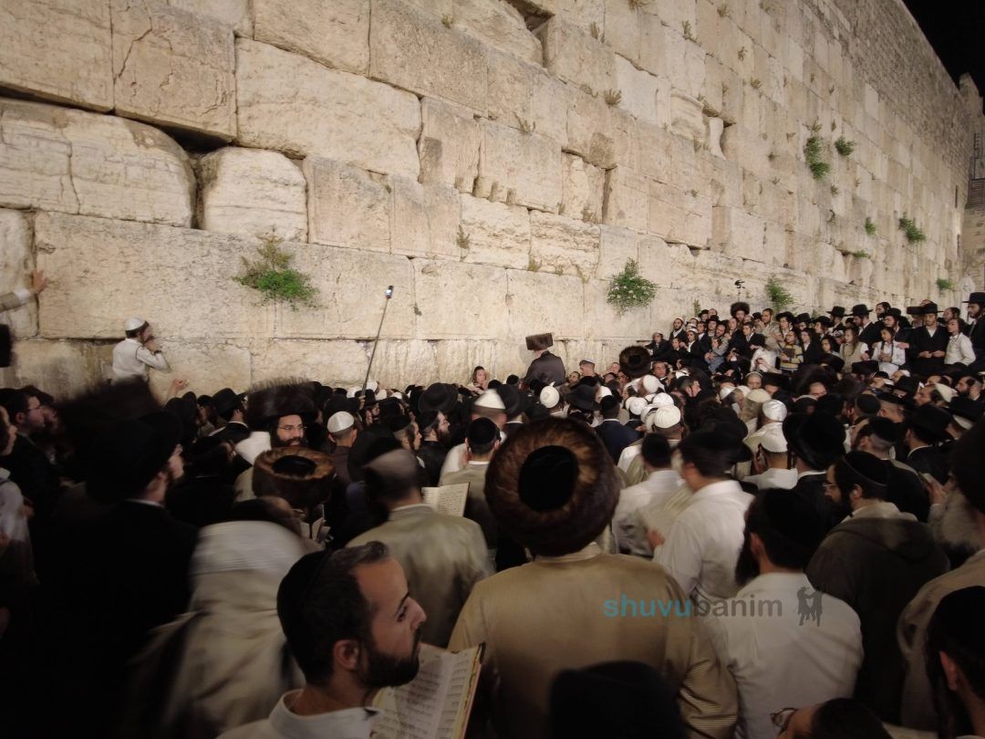 וּנְשַׁלְּמָה פָרִים שְׂפָתֵינוּ • הגה"צ רבי אליעזר ברלנד שליט"א עלה לרגל יחד עם אלפים מחסידיו