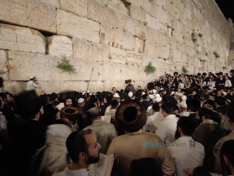 וּנְשַׁלְּמָה פָרִים שְׂפָתֵינוּ • הגה"צ רבי אליעזר ברלנד שליט"א עלה לרגל יחד עם