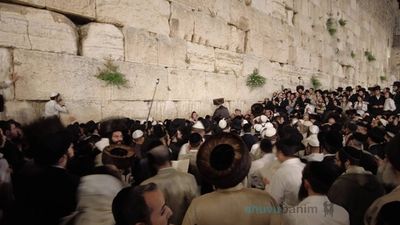 וּנְשַׁלְּמָה פָרִים שְׂפָתֵינוּ • הגה"צ רבי אליעזר ברלנד שליט"א עלה לרגל יחד עם אלפים מחסידיו