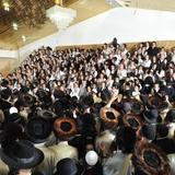 החיים שבתורה: כיצד יגיעות ותשוקה בלימוד מביאים לאור הפנימי ולתיקון הנפש - מאת הגה"צ הרב אליעזר ברלנד שליט"א