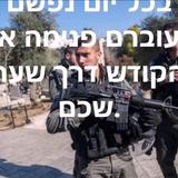 Miracles Unveiled: Eyewitness Accounts of Rav Berland's Divine Power