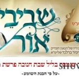 שיעורי הגה"צ הרב אליעזר ברלנד שליט"א - עלון שבבי אור 72 לפרשת ויגש