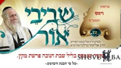 שיעורי הגה"צ הרב אליעזר ברלנד שליט"א - עלון שבבי אור 72 לפרשת ויגש