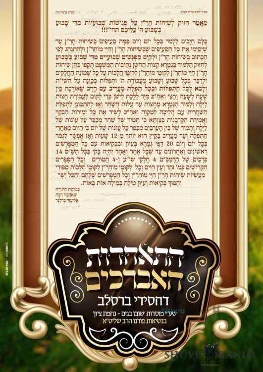 To Hold Meetings Every Single Week – Letter from Rabbi Berland Shlit”a to Group of Avreichim of Shuvu Banim