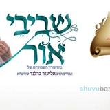 שביבי אור לפרשת חיי שרה - לצפיה ולהורדה