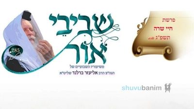 שביבי אור לפרשת חיי שרה - לצפיה ולהורדה