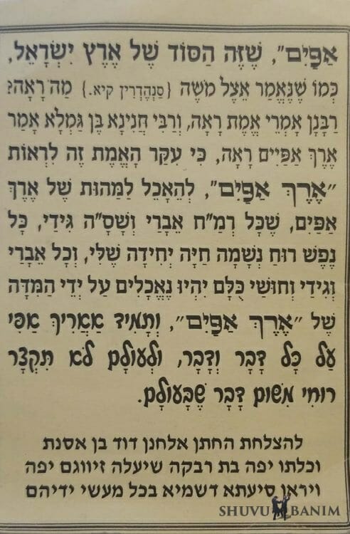 #5051 Prayer to be consumed by the essence of the Land of Israel