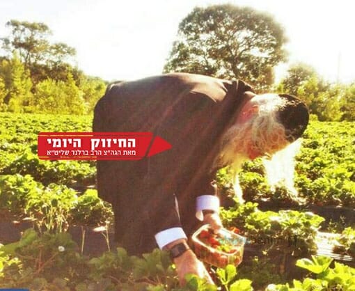 השירה מגדילה את הנפש - הגה"צ הרב אליעזר ברלנד שליט"א