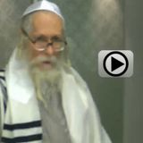 שידור חי ט"ו חשוון תשע"ה מאמסטרדם