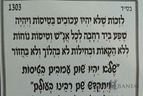 "שלא יהיו עיכובים בטיסות" - תפילה חשובה של הגה"צ הרב אליעזר ברלנד שליט"א