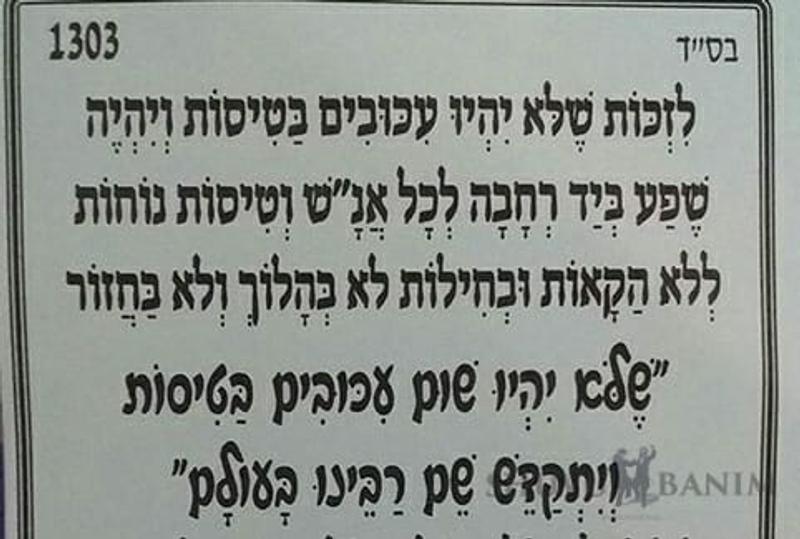 "שלא יהיו עיכובים בטיסות" - תפילה חשובה של הגה"צ הרב אליעזר ברלנד שליט"א