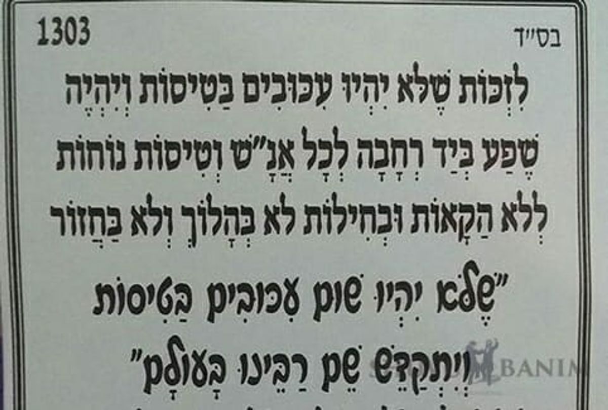 "שלא יהיו עיכובים בטיסות" - תפילה חשובה של הגה"צ הרב אליעזר ברלנד שליט"א