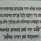 "שלא יהיו עיכובים בטיסות" - תפילה חשובה של הגה"צ הרב אליעזר ברלנד שליט"א