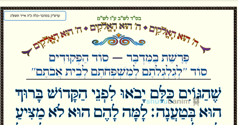 פָּרָשַׁת בַּמִּדְבָּר סוֹד הַפְּקוּדִים • המאמר היומי מהגה"צ רבי אליעזר ברלנד