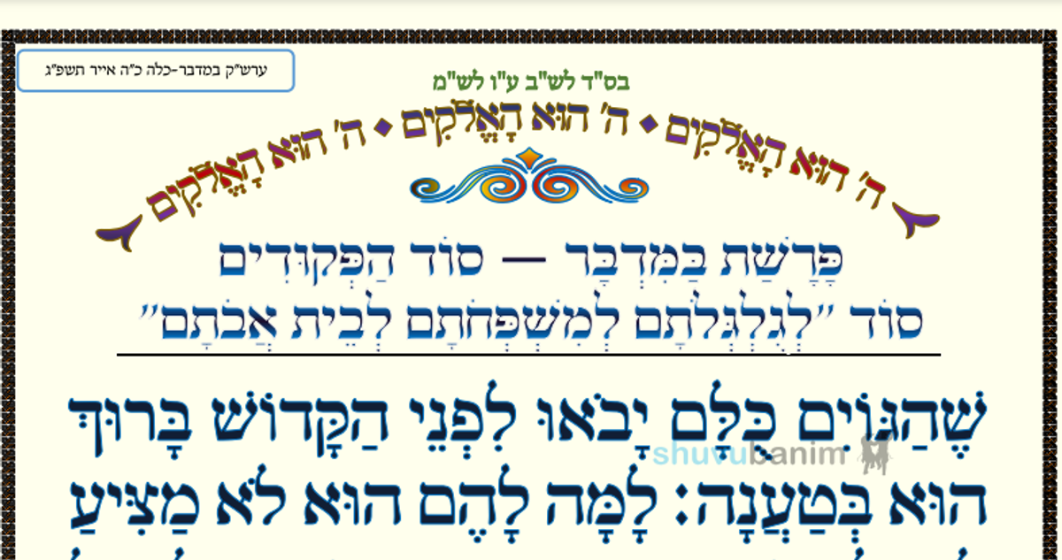 פָּרָשַׁת בַּמִּדְבָּר סוֹד הַפְּקוּדִים • המאמר היומי מהגה"צ רבי אליעזר ברלנד שליט"א
