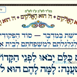 פָּרָשַׁת בַּמִּדְבָּר סוֹד הַפְּקוּדִים • המאמר היומי מהגה"צ רבי אליעזר ברלנד שליט"א