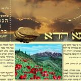 עלון 'כנישתא חדא' מס' 58 - כל הסיפורים מחזרתו של הגה"צ הרב אליעזר ברלנד שליט"א לארץ