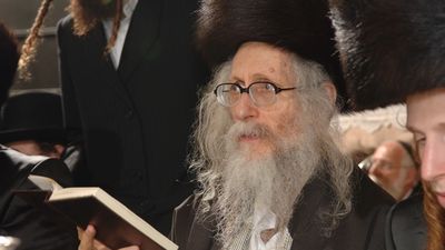 הרב דוד אבוחצירא: "מוציא אסירים בכושרות" - רשמים מדהימים מהביקור אצל הגה"צ הרב אליעזר ברלנד שליט"א