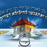 "הַבְעֵר אוֹתָה בְּלִיבִּי" • כל הפרטים על הילולת מוהרנ"ת מברסלב זיע"א הגדולה בתבל