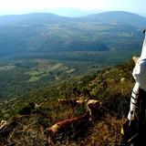 יעקב יכל להחזיר את כולם בתשובה – פרשת וישלח מגה"צ הרב אליעזר ברלנד שליט"א