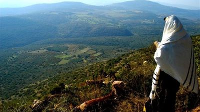 יעקב יכל להחזיר את כולם בתשובה – פרשת וישלח מגה"צ הרב אליעזר ברלנד שליט"א