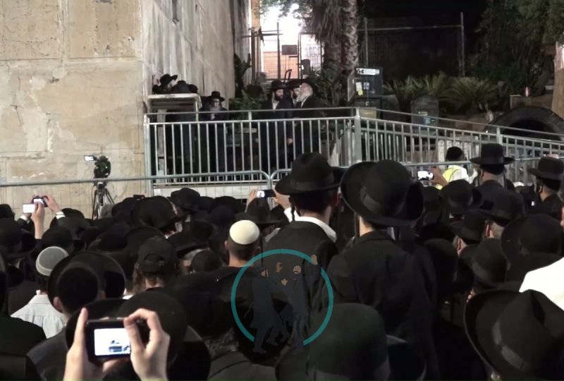 המשתתפים מגיעים לרחבת מערת המכפלה