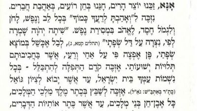 Rabbi Berland's Prayer to Love One's Friends