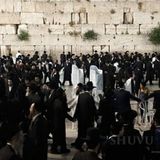 תפילות ברחבי הארץ ובעולם לרפואת הגה"צ הרב אליעזר ברלנד שליט"א