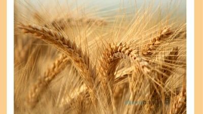 תפילה למולד חודש אייר תשפ"ב - הגה"צ הרב אליעזר ברלנד שליט"א