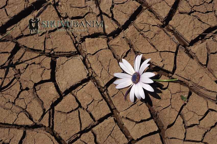 תְּפִלָּה מדהימה לֵאמֹר לִפְנֵי הַהִתְבּוֹדְדוּת של הגה"צ הרב אליעזר ברלנד שליט"א