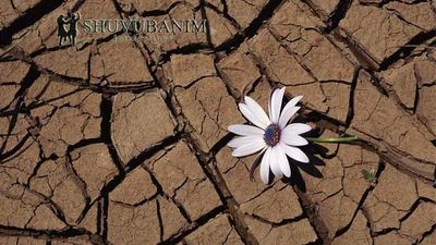 תְּפִלָּה מדהימה לֵאמֹר לִפְנֵי הַהִתְבּוֹדְדוּת של הגה"צ הרב אליעזר ברלנד שליט"א