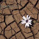 תְּפִלָּה מדהימה לֵאמֹר לִפְנֵי הַהִתְבּוֹדְדוּת של הגה"צ הרב אליעזר ברלנד שליט"א