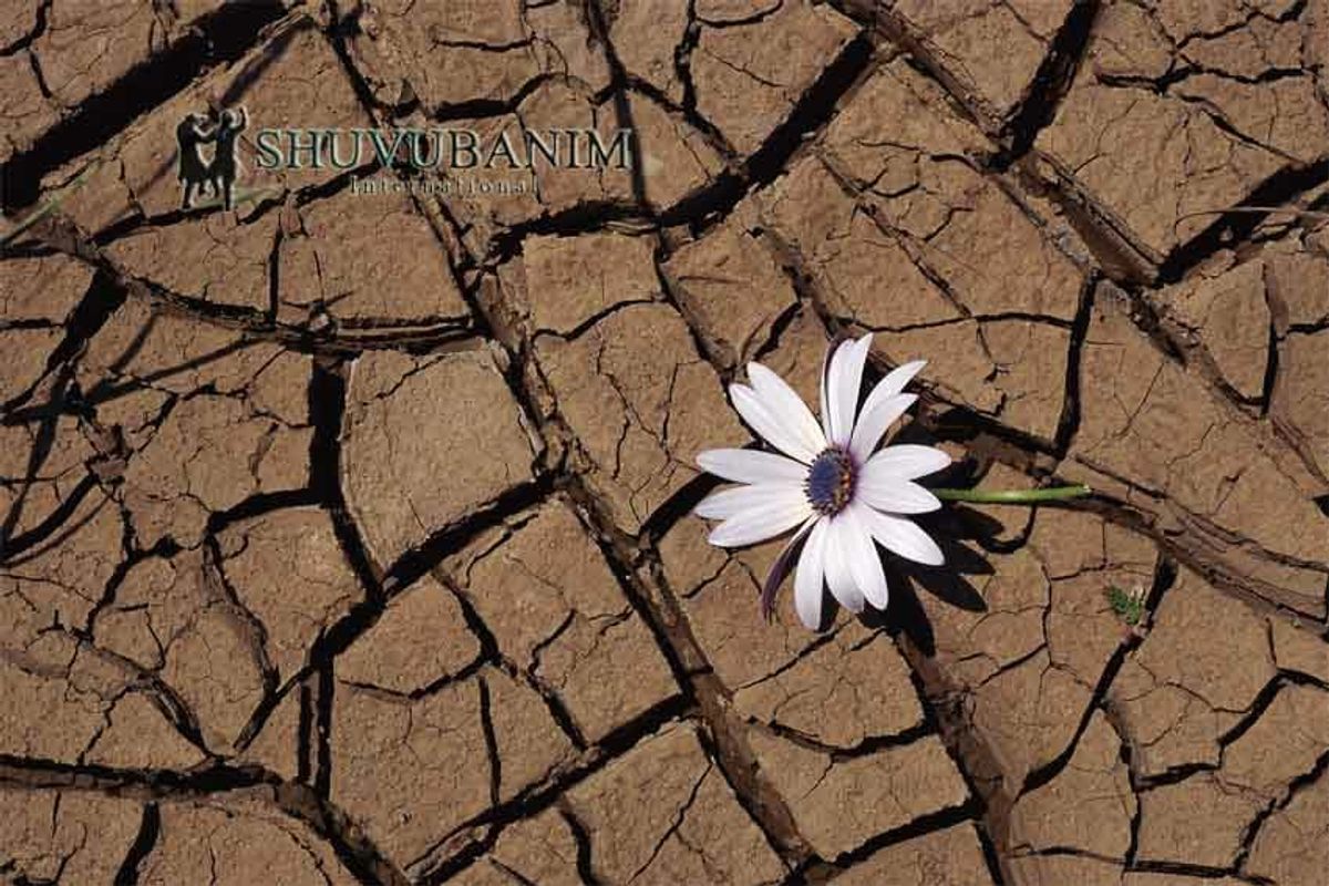 תְּפִלָּה מדהימה לֵאמֹר לִפְנֵי הַהִתְבּוֹדְדוּת של הגה"צ הרב אליעזר ברלנד שליט"א