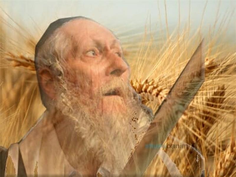 ספירת העומר עם הרב ברלנד שליט"א בהולנד - 22 יום: מרגש