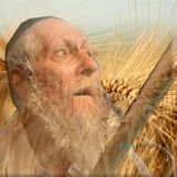 ספירת העומר עם הרב ברלנד שליט"א בהולנד - 22 יום: מרגש