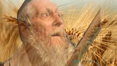 ספירת העומר עם הרב ברלנד שליט"א בהולנד - 22 יום: מרגש