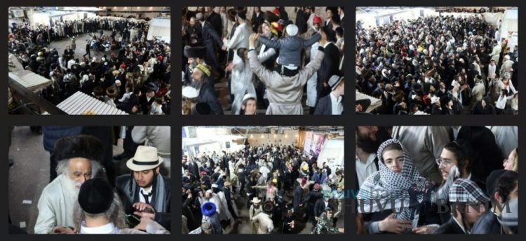 “For Shuvu Banim, There was Light and Gladness”Â