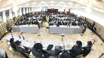 אִילָן בַּמֶּה אֲבָרֶכְךָ • כנס ט"ו בשבט לחבורת האברכים דקהילת "שובו בנים"