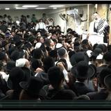 בשירה אדירה - "הושיעה את עמך" עם הגה"צ הרב אליעזר ברלנד שליט"א