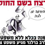 מאמר מאת אהרן שוורץ: מיהו חסיד שוטה? כל מי שאינו יוצא מייד לפעולות מחאה!